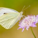 非凡娱乐H5:打破传统游戏界限的新尝试 44v8tbji7o