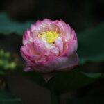 君临国际娱乐:探索全新娱乐体验的最佳选择 6o9sur9