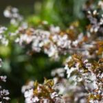 非凡娱乐官网的安全性与数据保护措施 7x1f6dkkgu