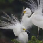 君临国际:全球视野下的市场营销新趋势 g76c7aswj