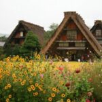 非凡娱乐平台的用户体验与界面设计分析 yovr3aj